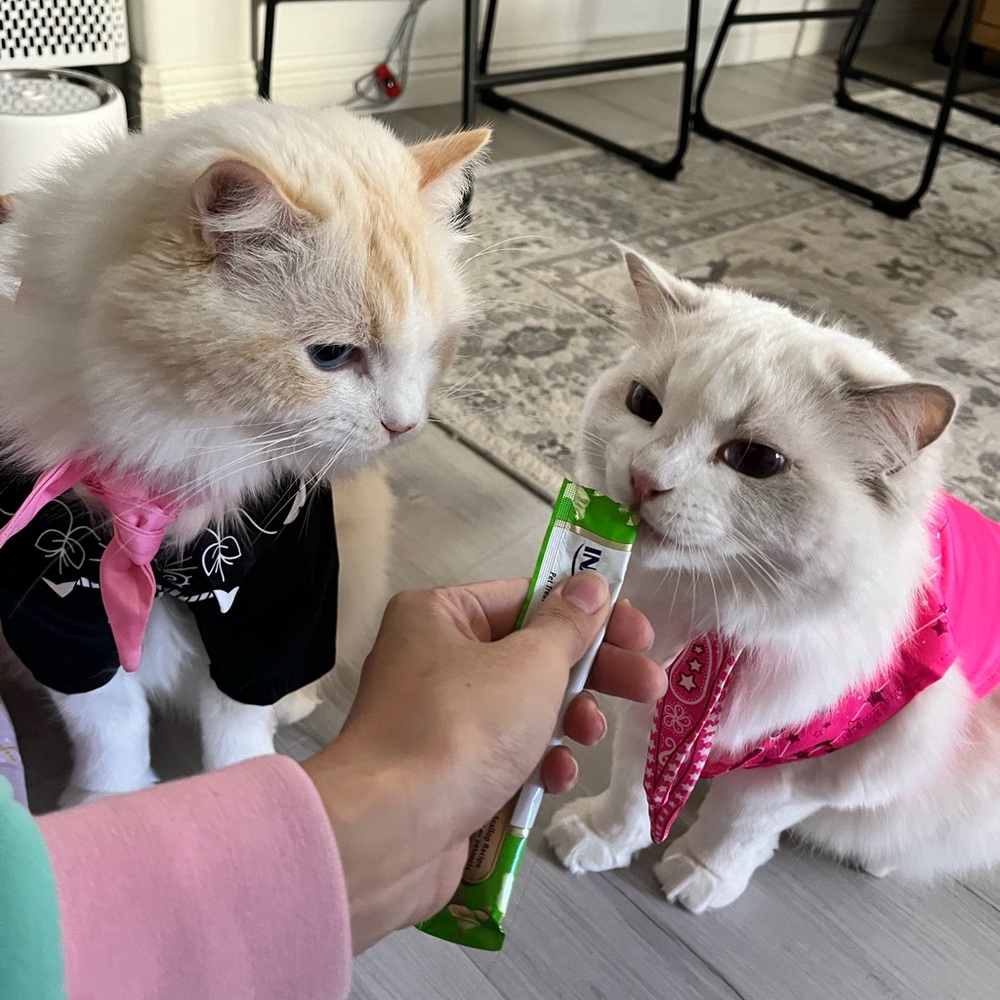 Meet your Posher, Luminky